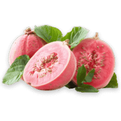 guava guava